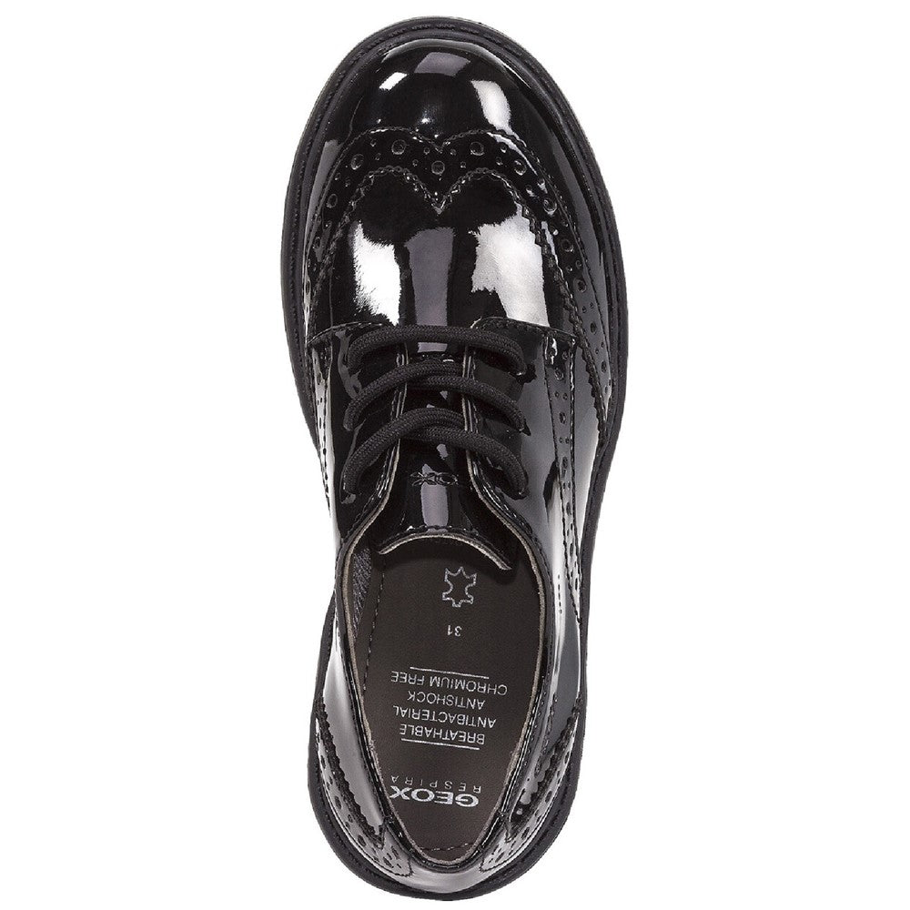 Geox J Casey G. N School Shoes