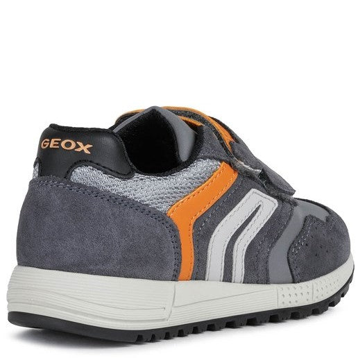 Geox Alben Shoes
