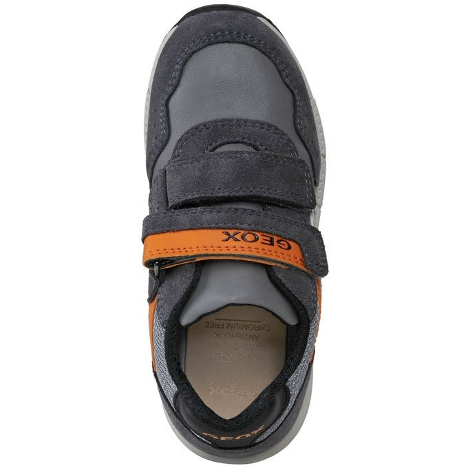 Geox Alben Shoes