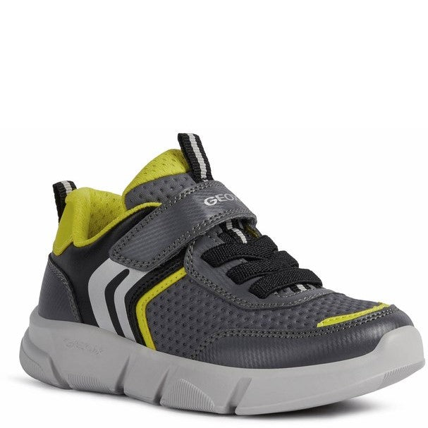 Geox Aril Shoes