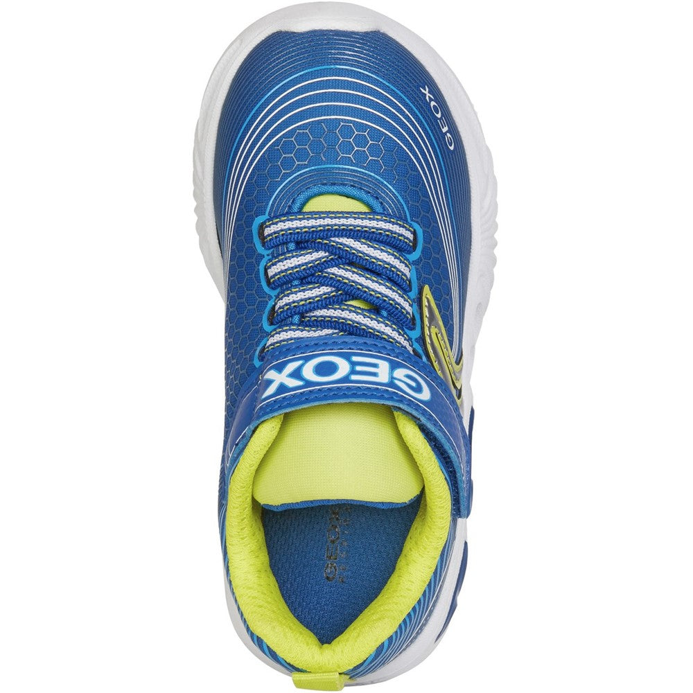 Geox Assister Trainers