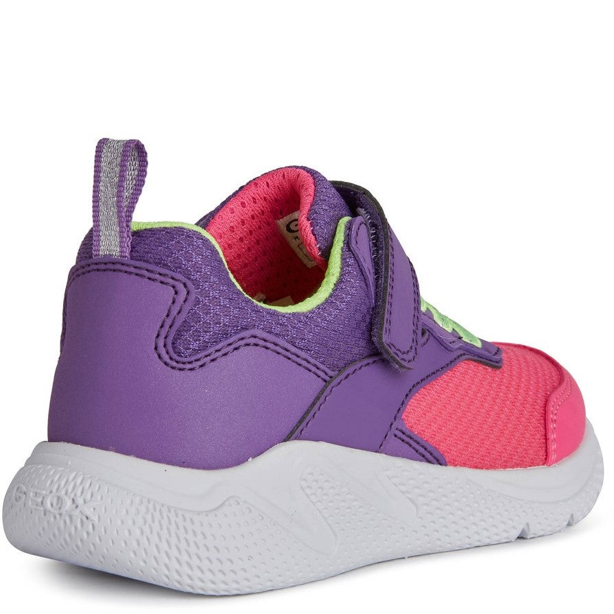 Geox Sprintye Trainers