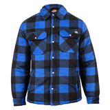 Dickies Portland Shirt