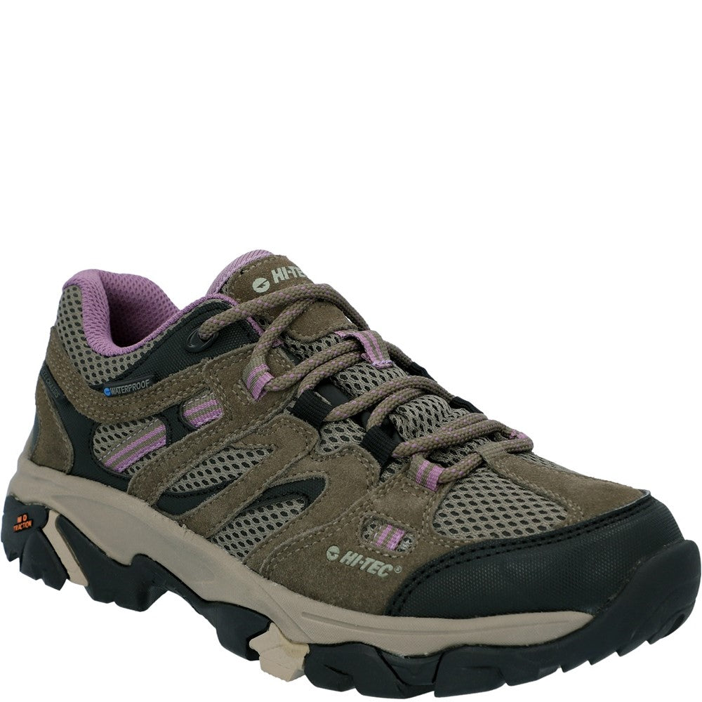 Womens Hi-Tec Apex Lite Low Hikers Taupe – Brantano