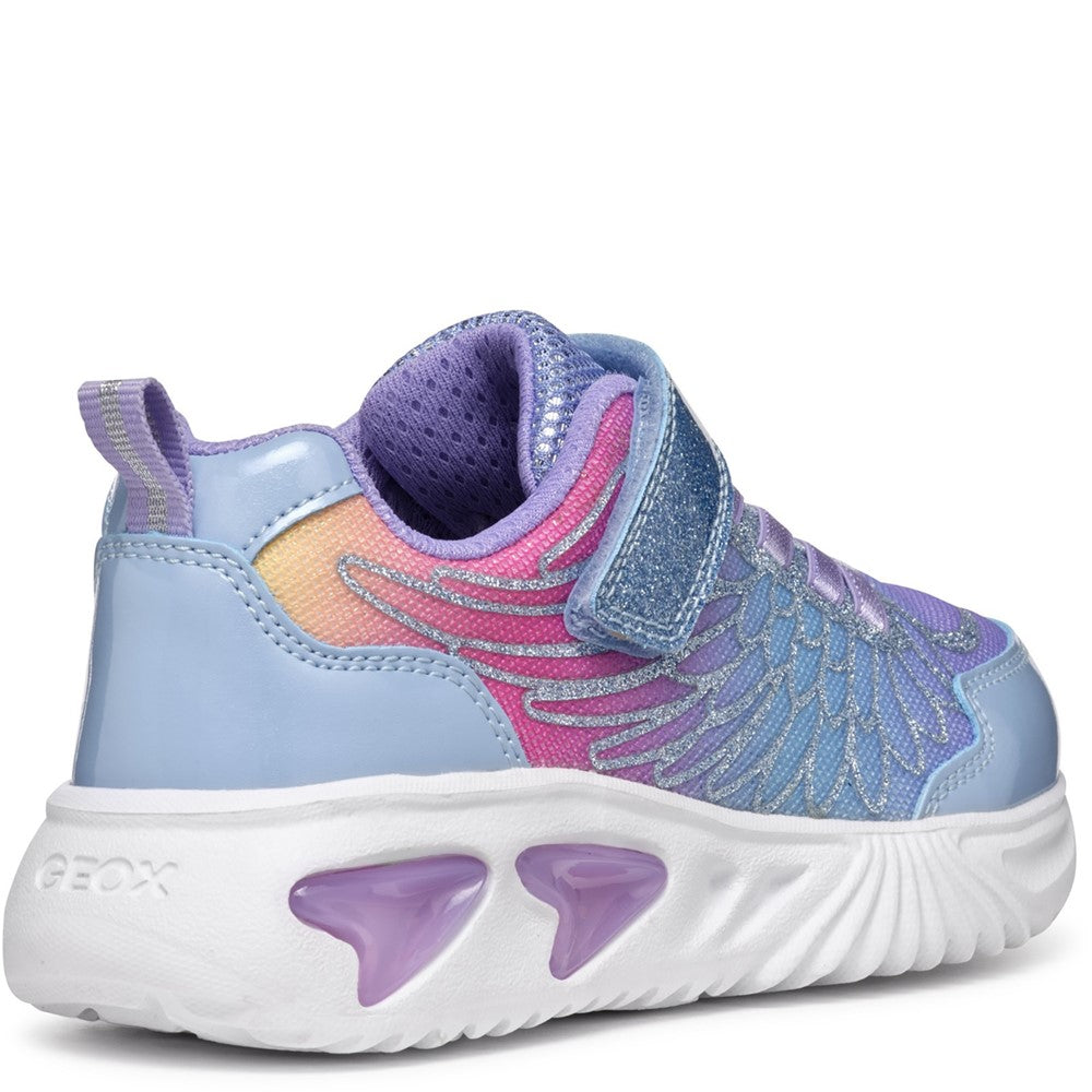 Geox J Assister G. A Junior Sneakers