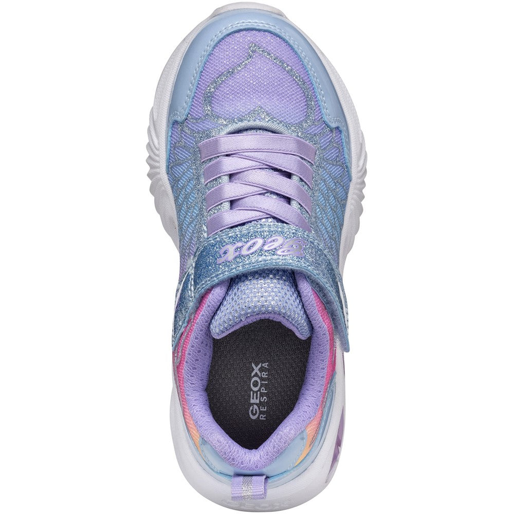 Geox J Assister G. A Junior Sneakers