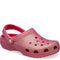 Dragon fruit
