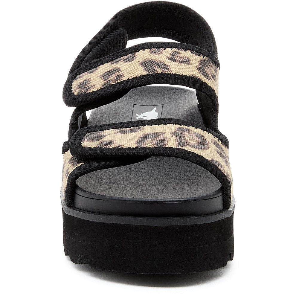 Rocket Dog Balmy Dexter Sandal