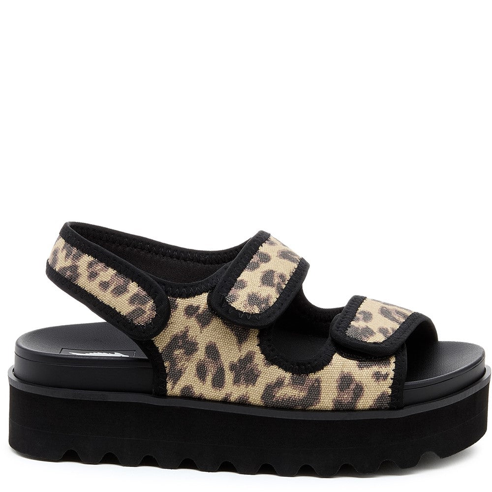 Rocket Dog Balmy Dexter Sandal