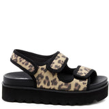 Rocket Dog Balmy Dexter Sandal