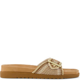 TOMS Marin Slides