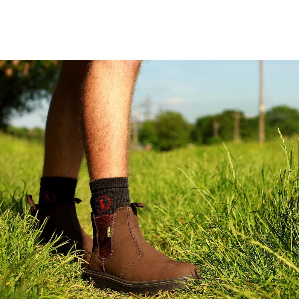 Amblers Abingdon brown leather upper non-safety dealer boot with pull loop Amblers Abingdon brown leather upper non-safety dealer boot with pull loop