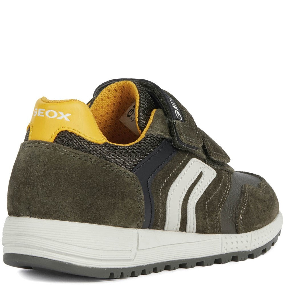 Geox Alben Shoes