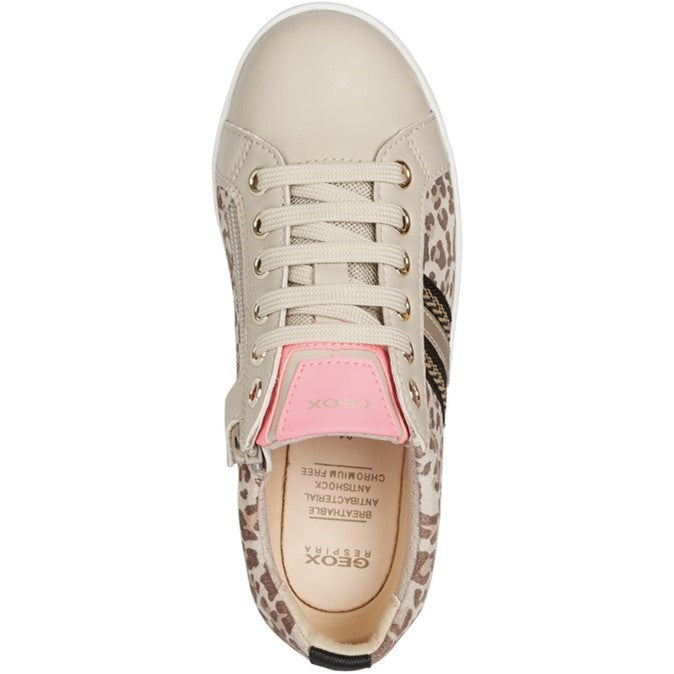 Geox Djrock Trainer