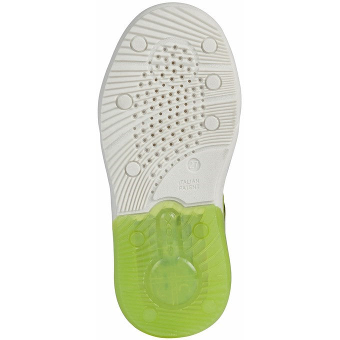 Geox Grayjay Shoes
