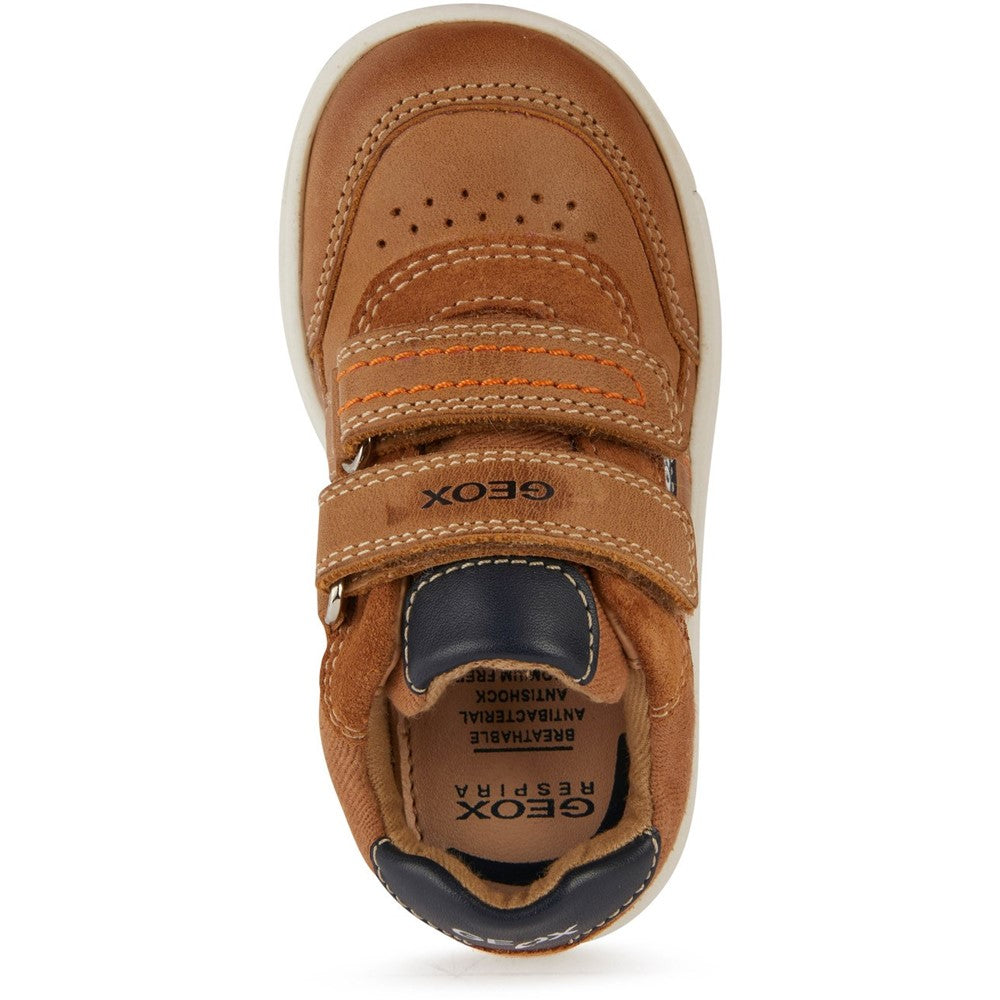 Geox Trottola Trainers