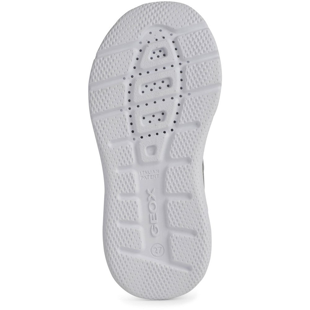 Geox Sprintye Trainers