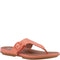 Sunshine coral